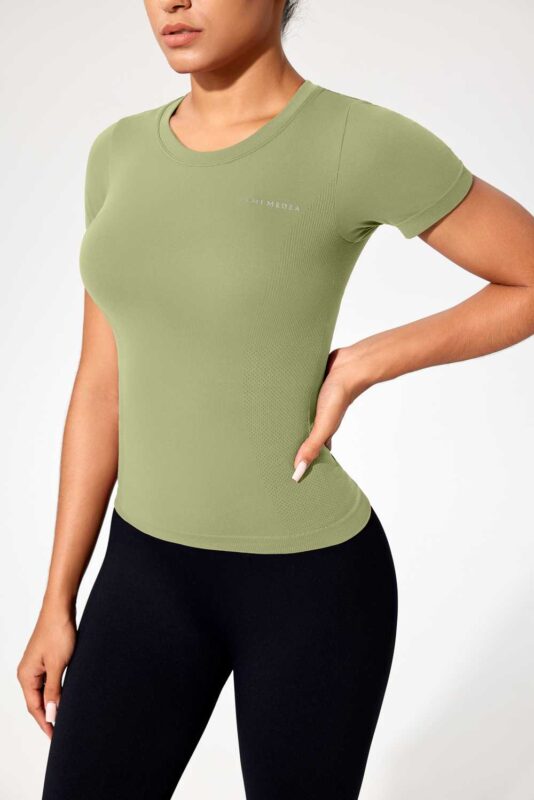 Seamless Short Sleeve Yoga Shirt Ruxi T315